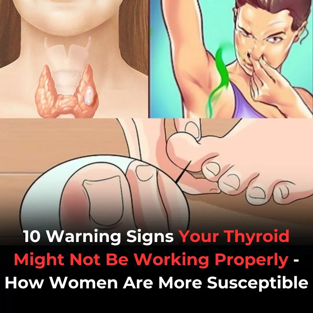 Thyroid Gland: How to Balance Its Hormones