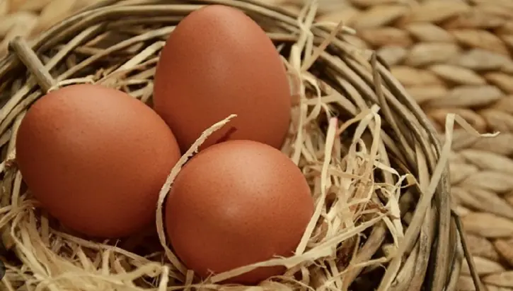 Unlocking the Visionary Benefits of Eggs for Eye Health