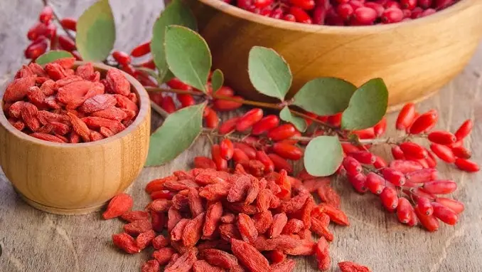 Goji Berries: A Tonic Herb and Superfruit Variety