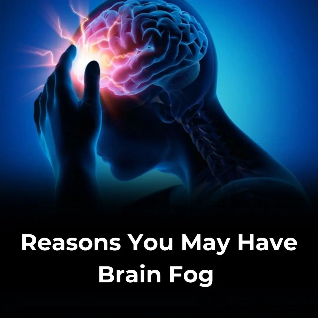 Reasons You May Have Brain Fog