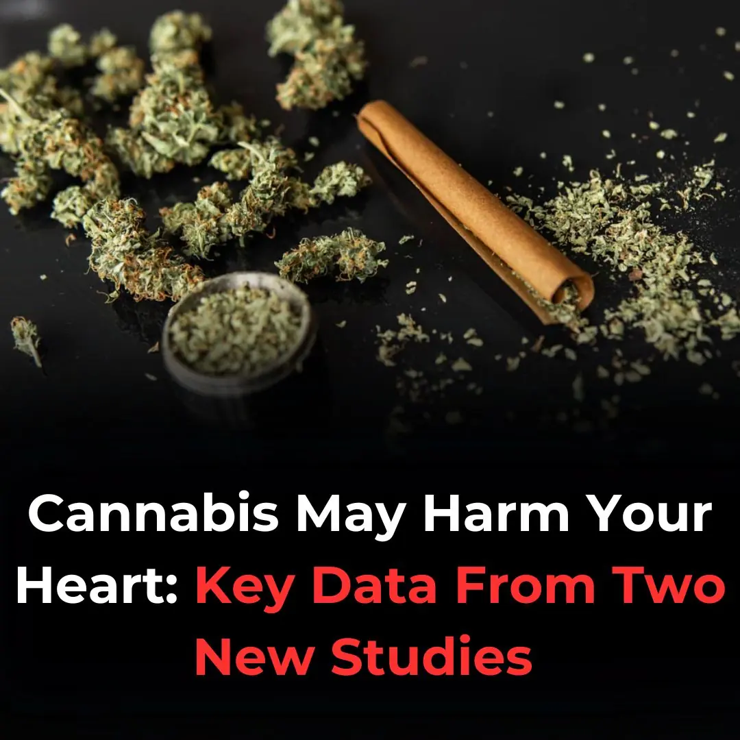 Cannabis May Harm Your Heart: Key Data From Two New Studies