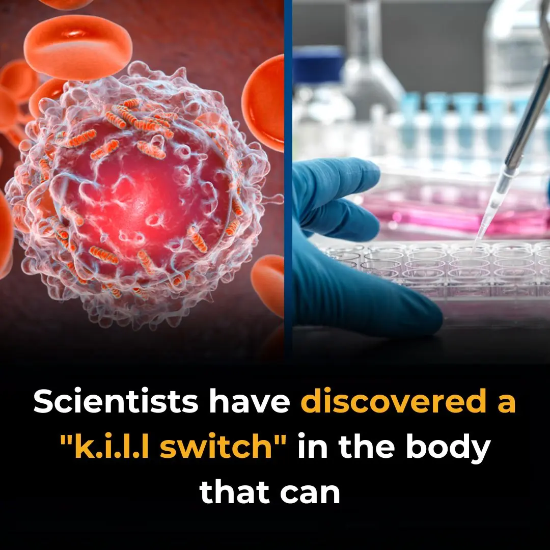 Scientists discover 'k.i.ll switch' that triggers de.a.th of can.cer cell in breakthrough