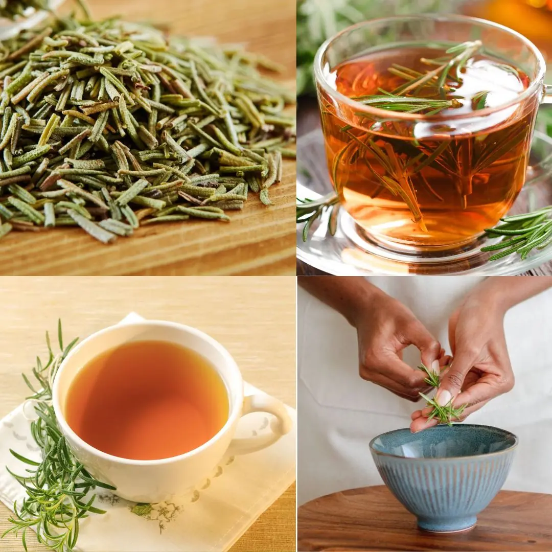 The Surprising Benefits of Rosemary Tea: A Sip Toward Better Health and Happiness