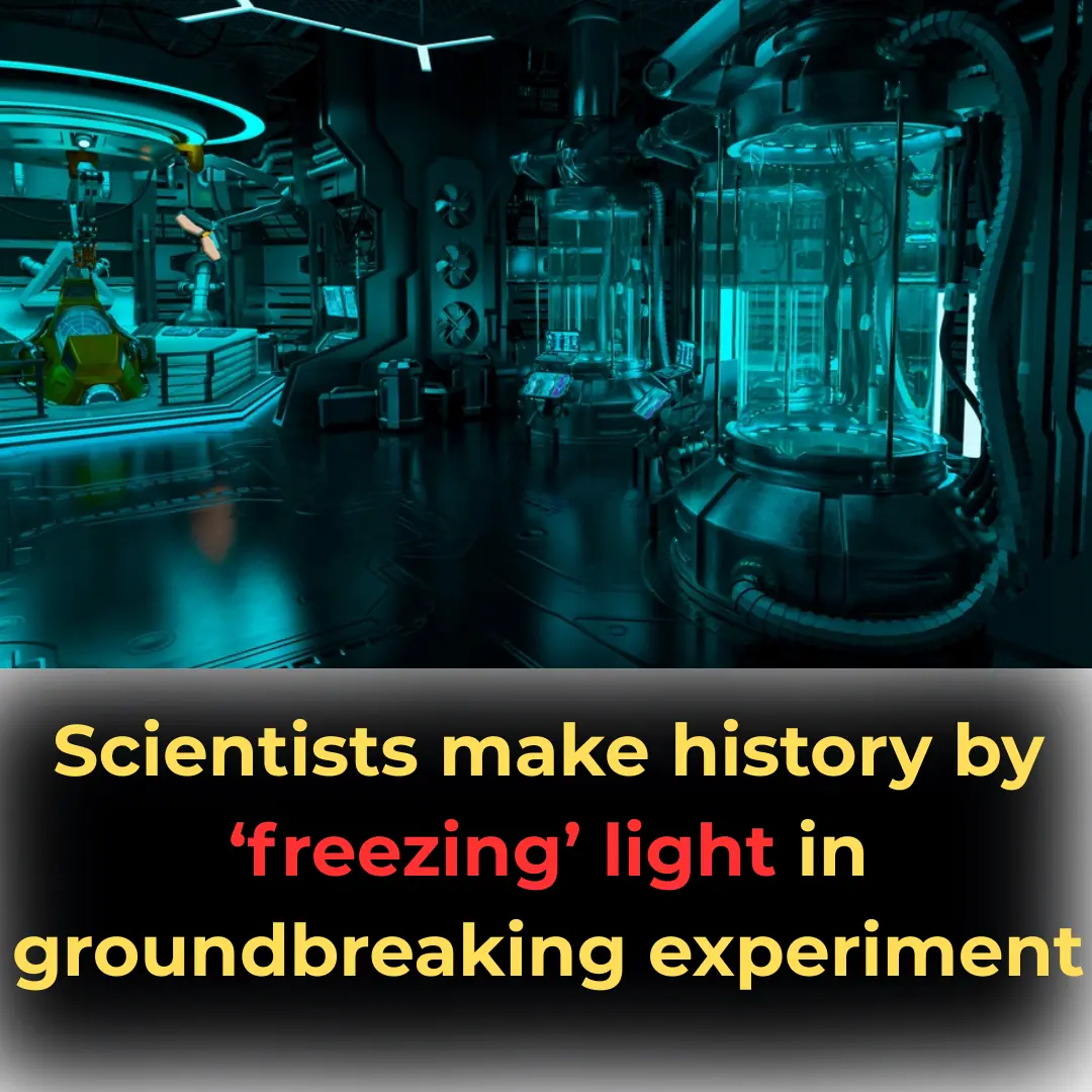 Scientists make history by ‘freezing’ light in groundbreaking experiment