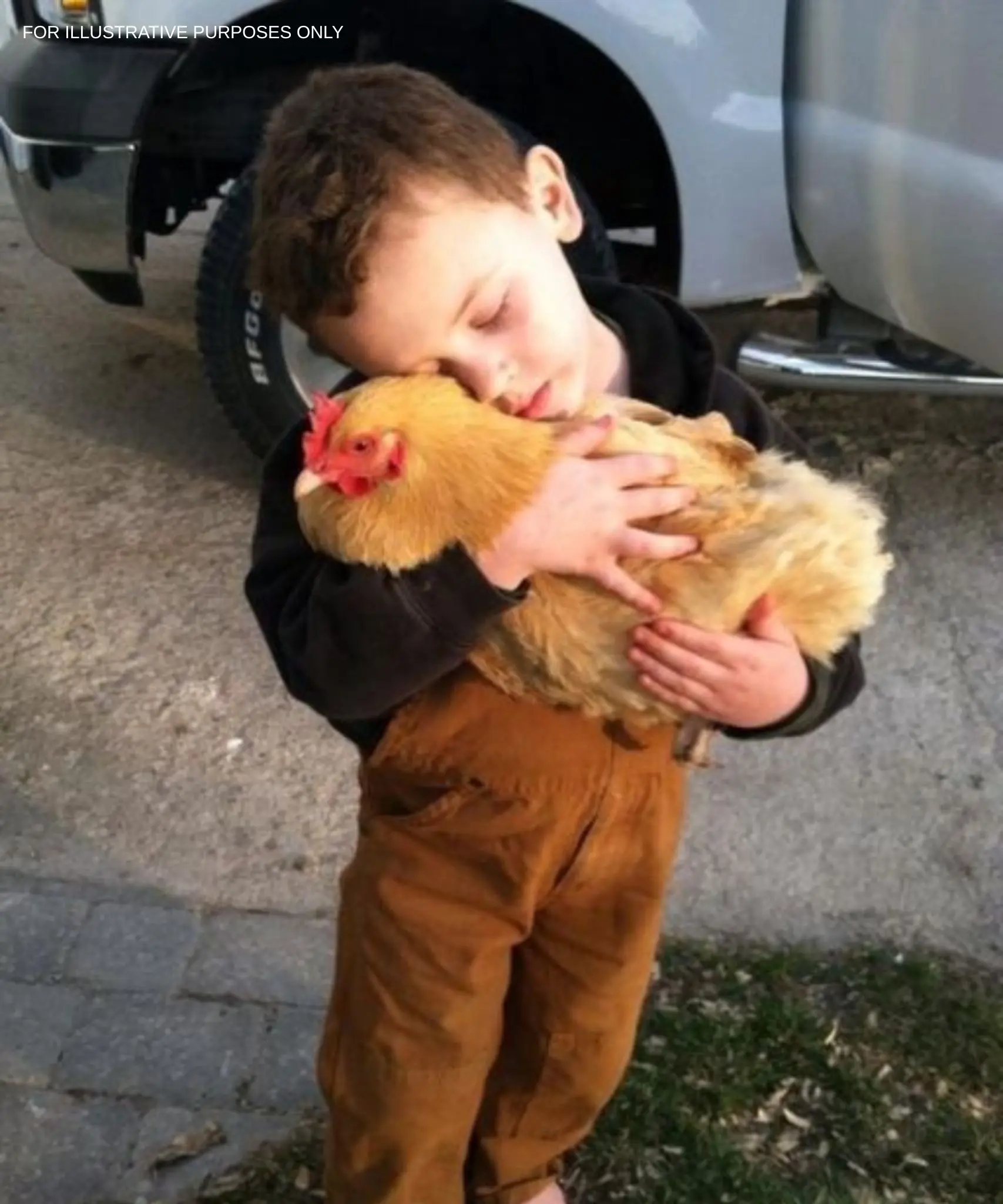 HE WOULDN’T LET GO OF THE CHICKEN—AND I DIDN’T HAVE THE HEART TO TELL HIM WHY SHE WAS MISSING YESTERDAY