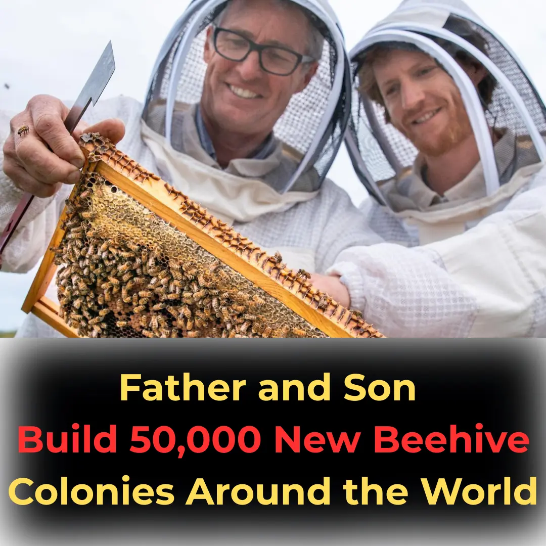 Father and Son Build 50,000 New Beehive Colonies Around the World