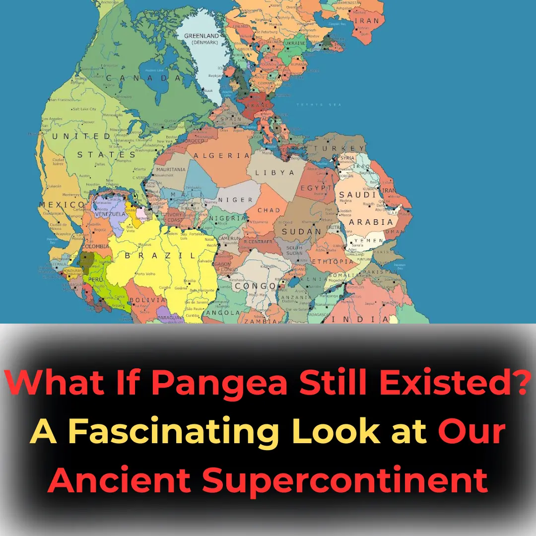 "What If Pangea Still Existed? A Fascinating Look at Our Ancient Supercontinent"