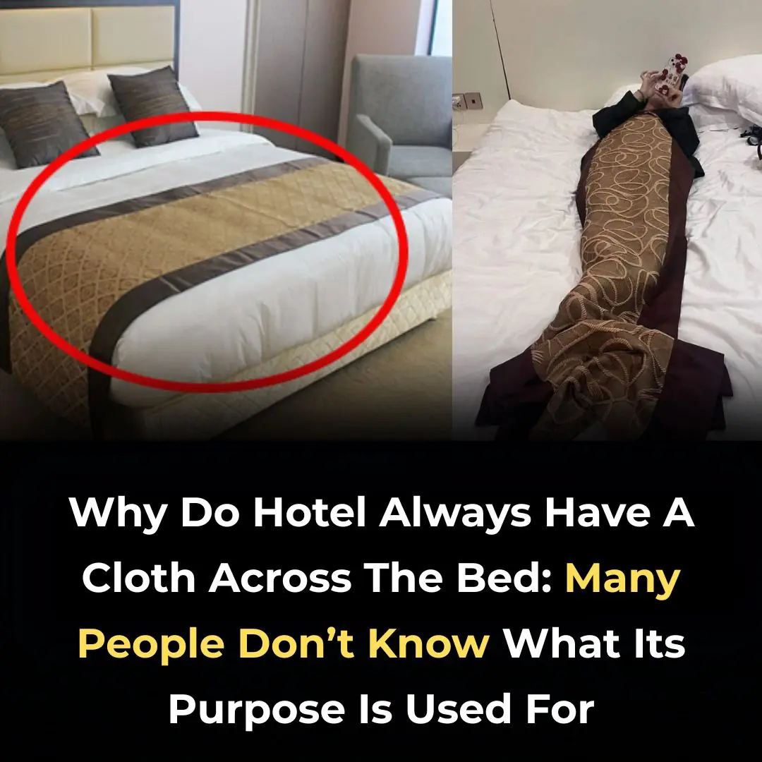 What’s The Purpose Of The Fabric Strip Across Hotel Beds