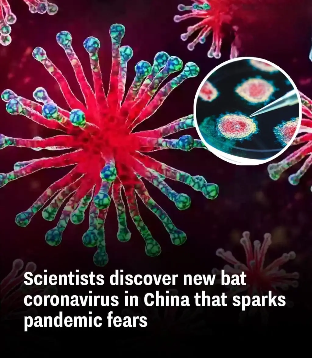 Scientists discover new bat coronavirus in China that sparks pandemic fears