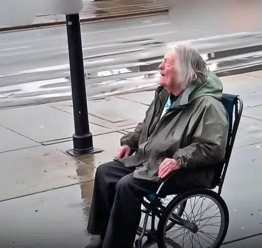 Son Leaves Mom in Wheelchair on the Street, Year Later Sees Her Coming to His House on Her Feet