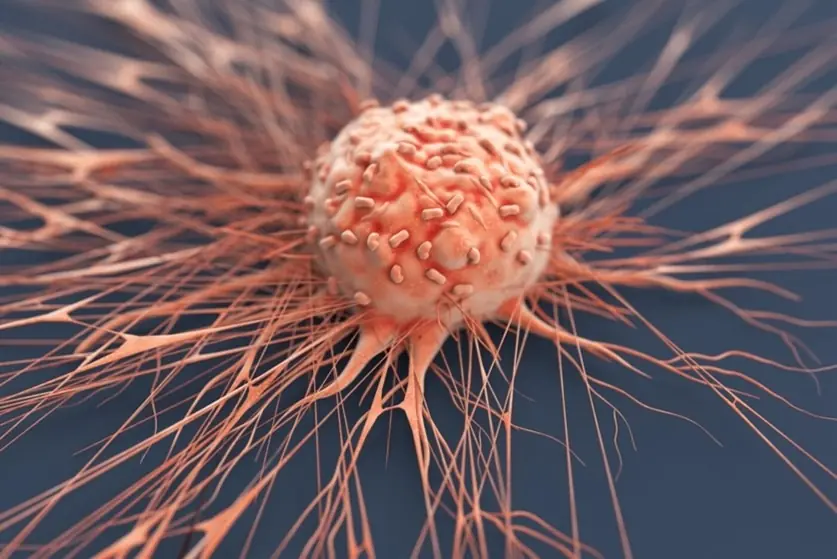 Cancer Hospital Warning: Eating This Type of Meat Daily Can Increase Cancer Risk – Don’t Be Complacent!