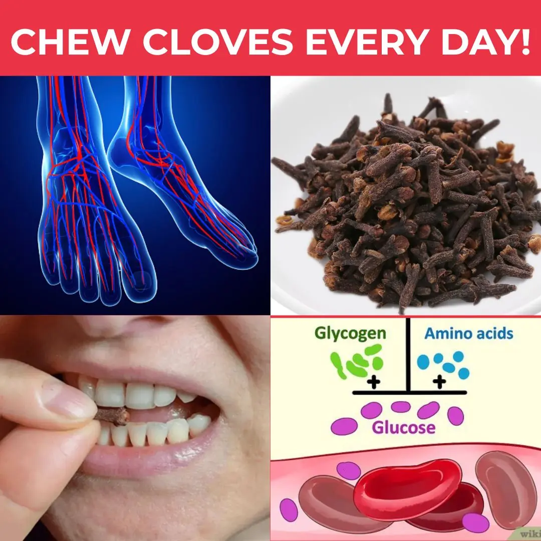 Chewing Cloves Daily: A Tiny Habit with Massive Health Benefits