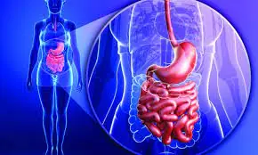 No more constipation: this fruit is the “miracle” method for going to the bathroom, according to a gastroenterologist