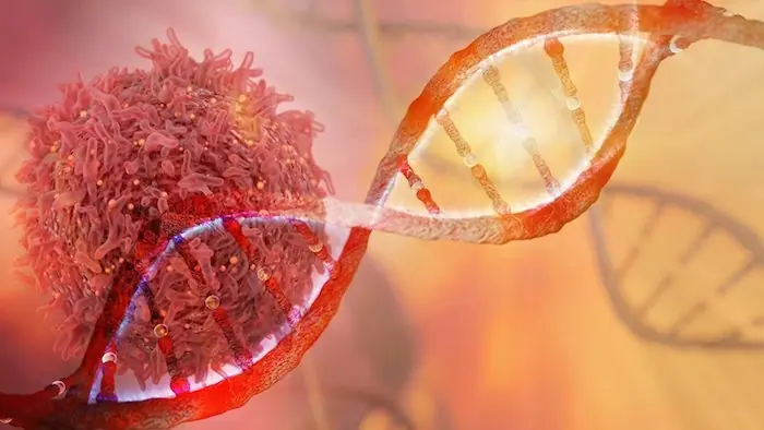 Warning: 9 Silent but Dangerous Signs of Cancer β Listen to Your Body