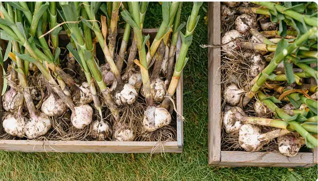 12 Best Foods To Support Digestive and Gut Health