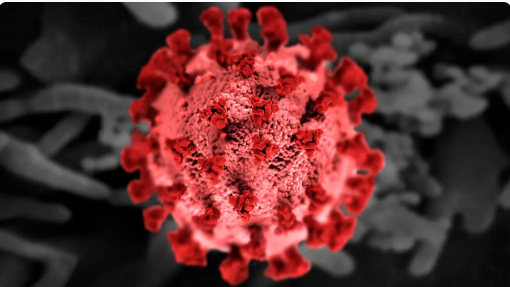 The New Leading Infectious Disease: COVID-19 No Longer Top of the List