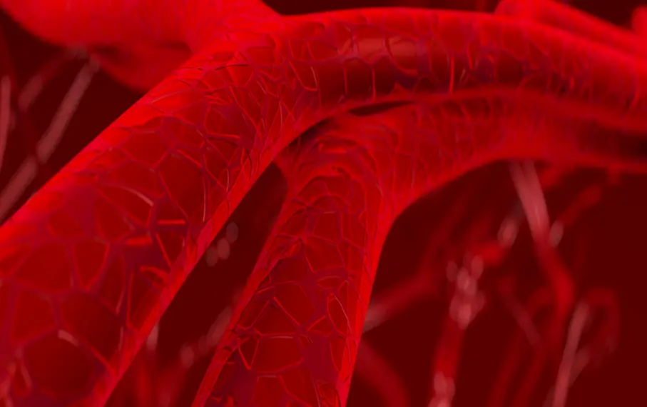 Top 10 Spices & Herbs to Support Arterial Health