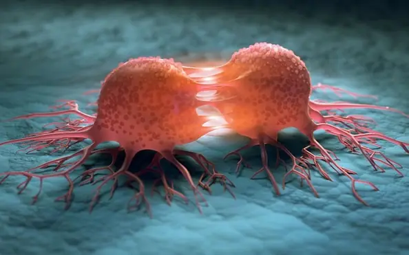 Breakthrough: Scientists Discover How to Revert Cancer Cells Back to Normal