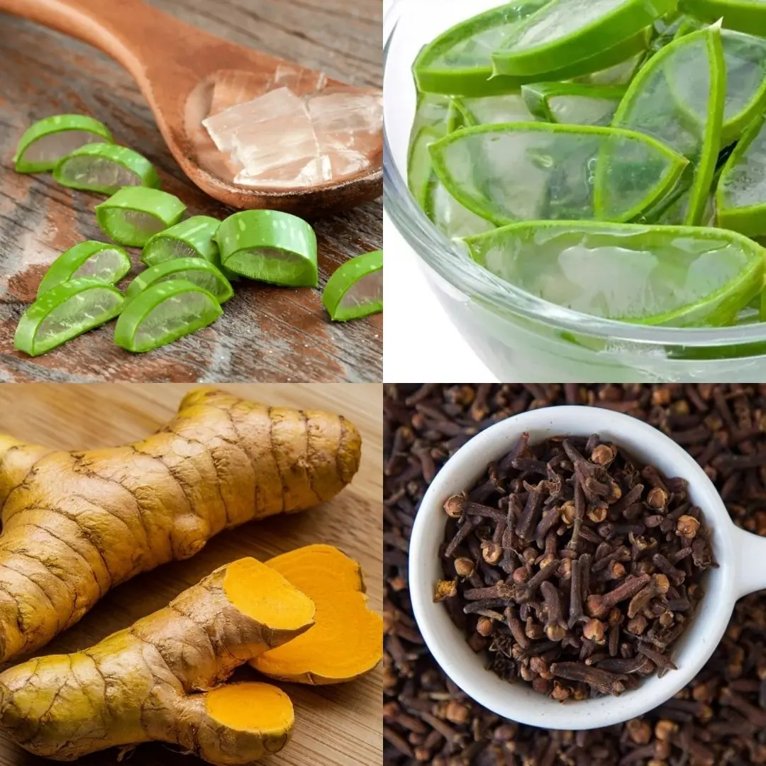 The Miracle Remedy That Has People Abandoning Hospitals: Cures Cancer, Diabetes, High Blood Pressure, and Poor Circulation!