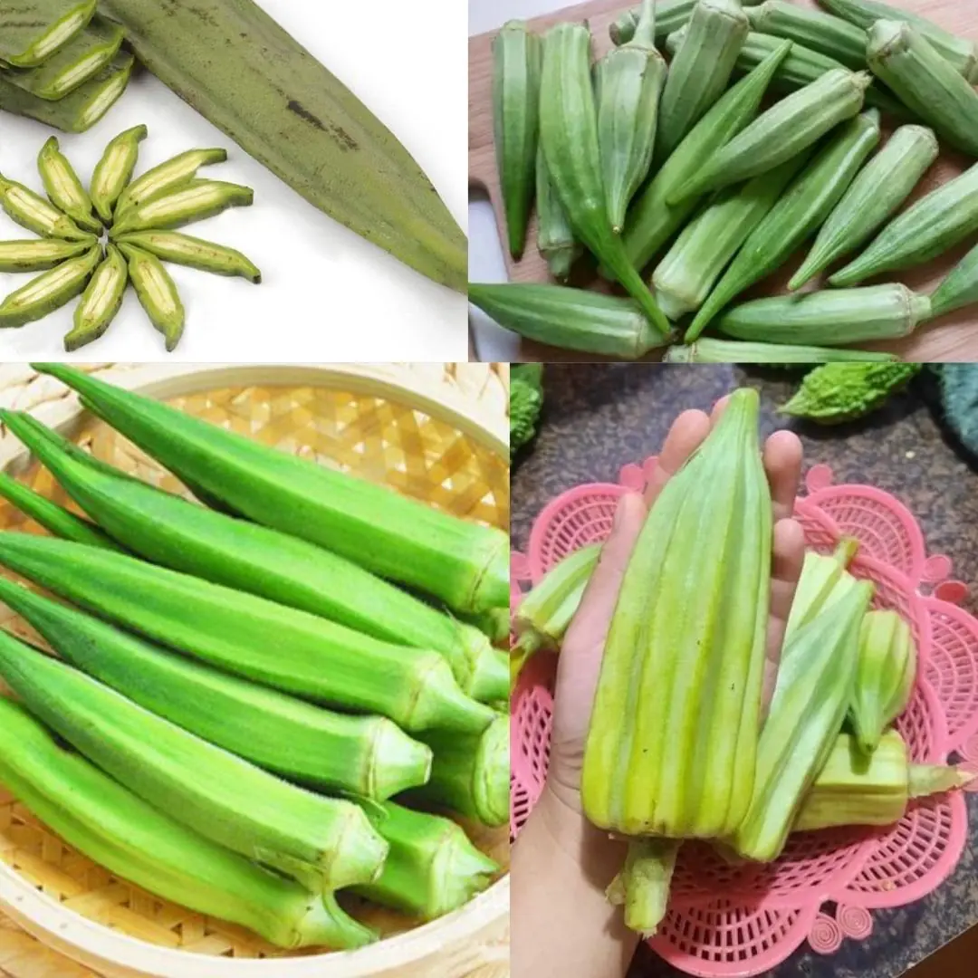 9 Reasons Why You Should Eat Okra Multiple Times a Week