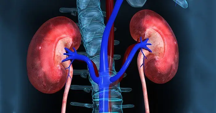 8 Signs of Kidney Failure That, If Ignored, Could Lead to a Lifetime of Dialysis