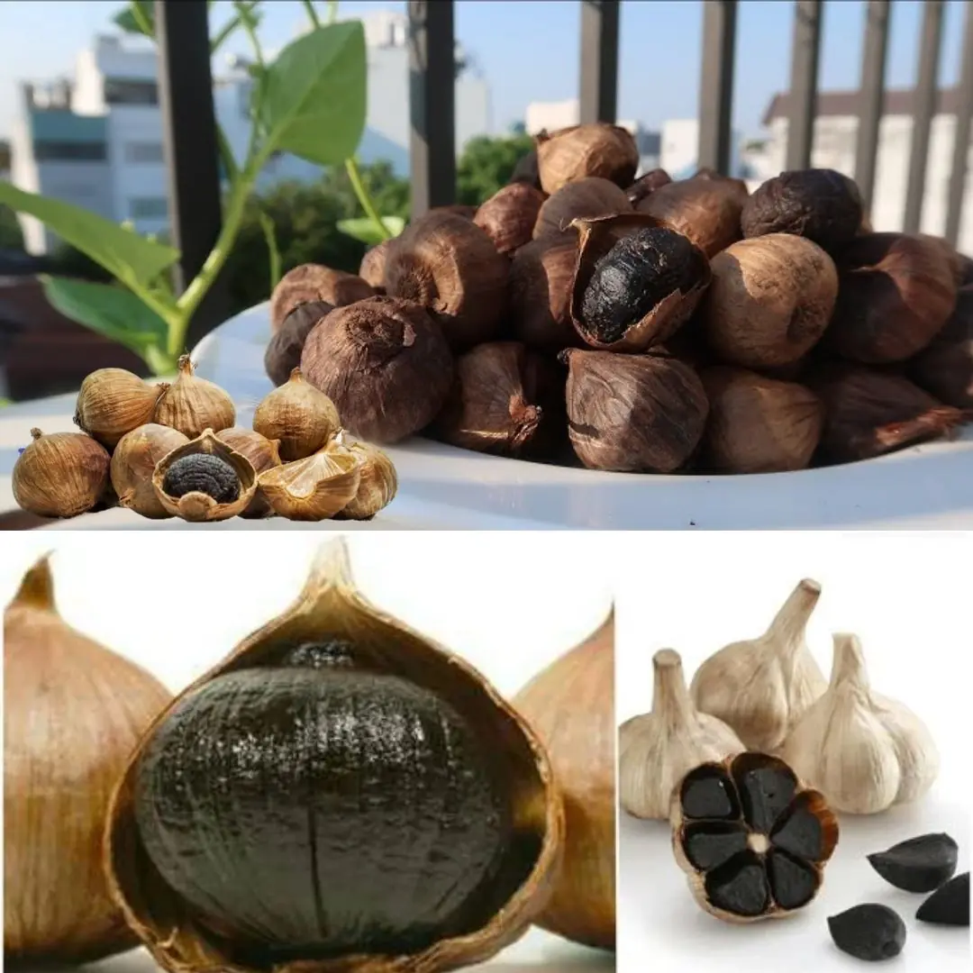 Black Garlic: Health Benefits and Why You Should Add It to Your Diet