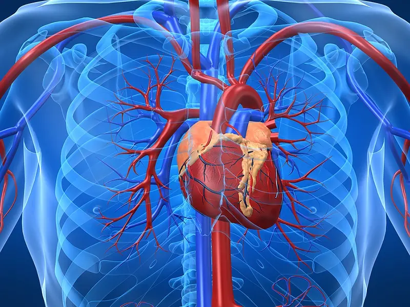 Preventing Stroke and Cerebral Infarction: Remember These 3 Health Indicators, 1 Critical Condition, and 6 Things You Should Never Ignore