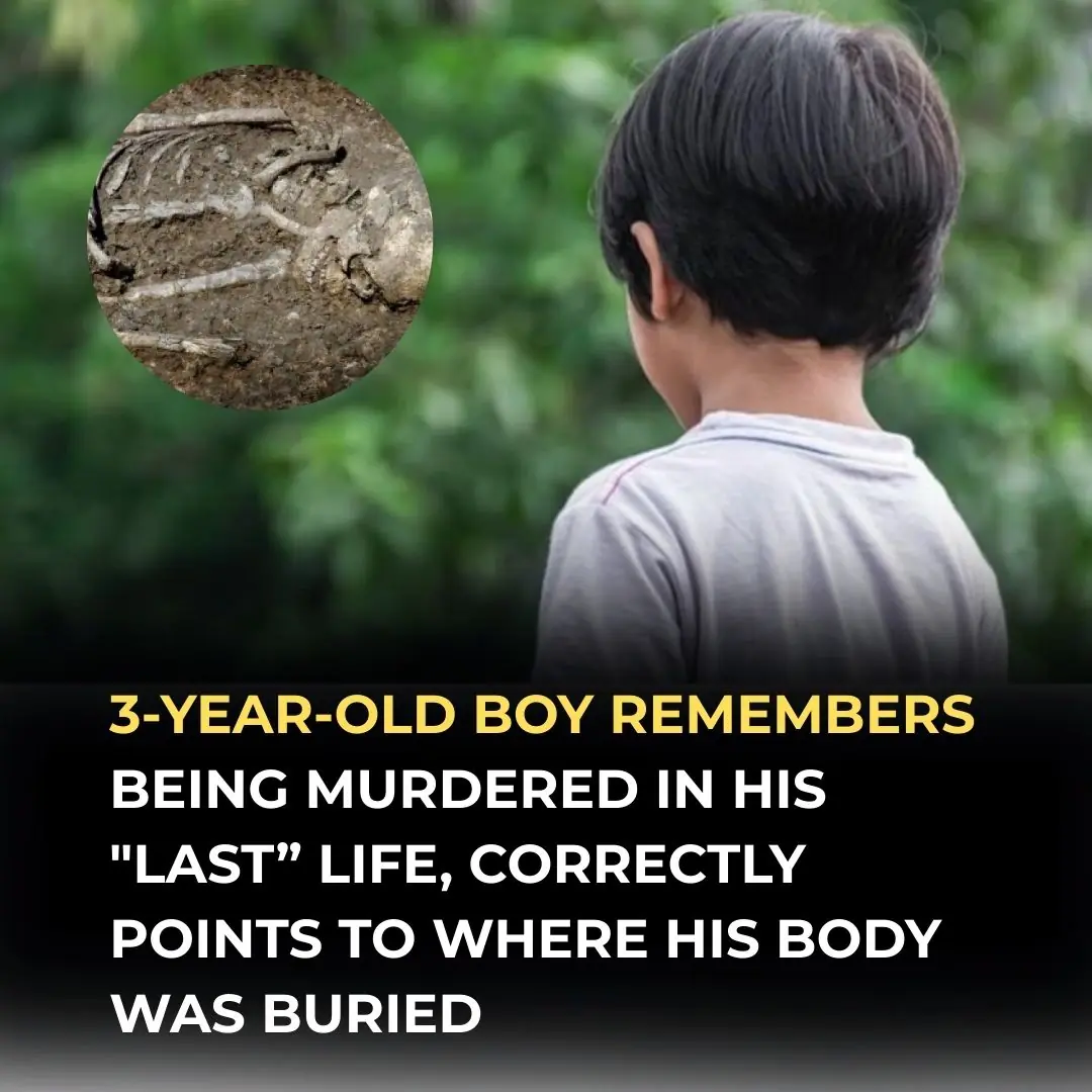 Toddler Claims to Remember Being Murdered in a Past Life and Identifies Where He Was Buried