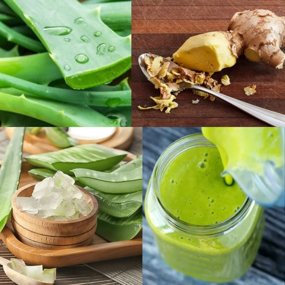 Unleash the Power of Ginger and Aloe Vera: A Natural Antibacterial powerhouse