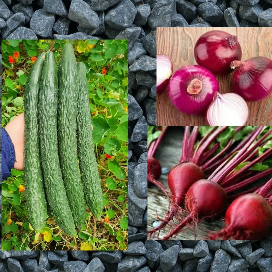 💪 45 and Tired? This Grandpa-Approved Beetroot Drink Might Change Your Life