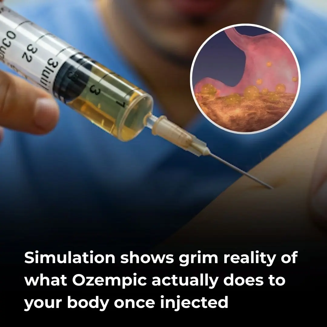 Simulation reveals harsh effects of Ozempic on the body