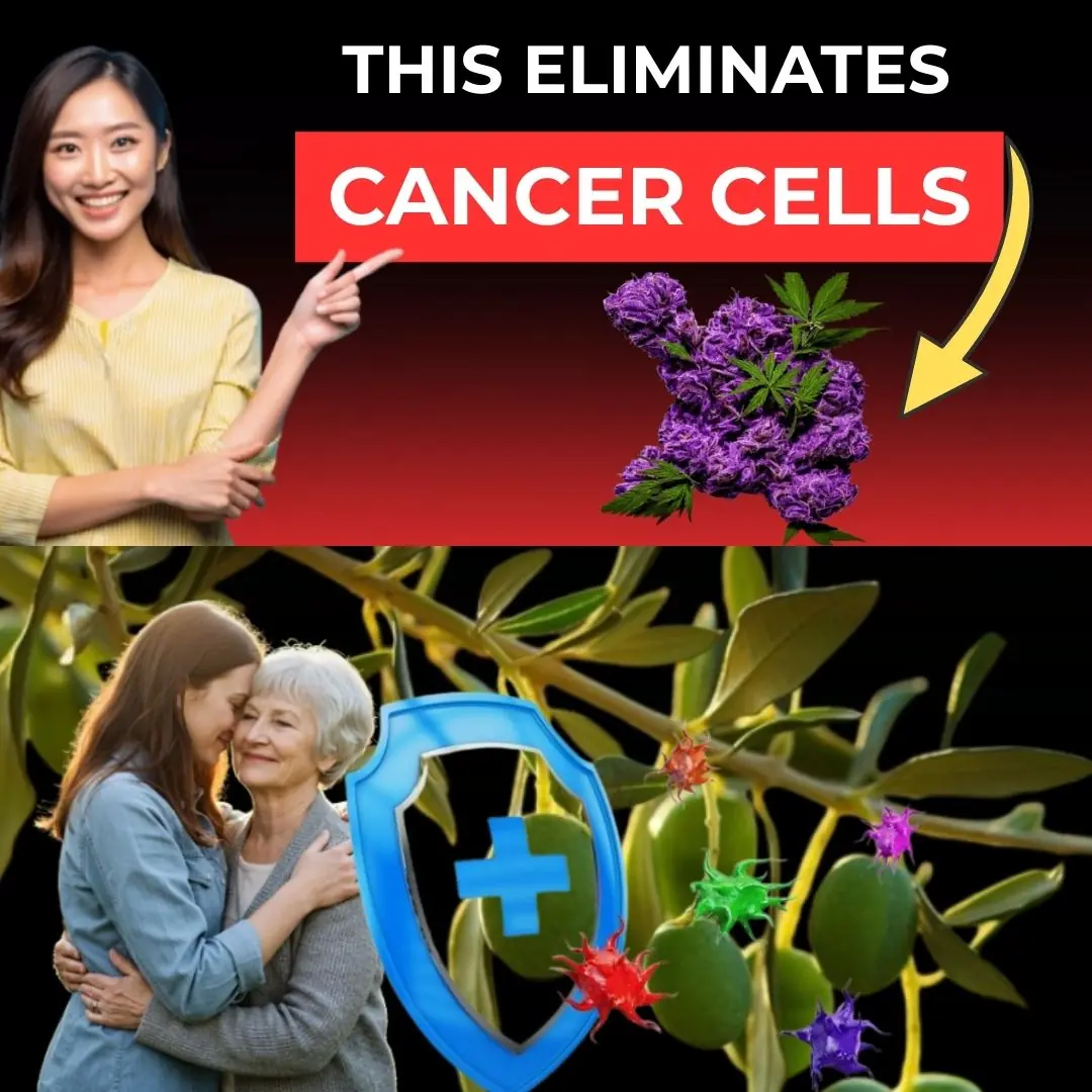 The #1 Anti-Cancer Food You're Not Eating (But Should!)