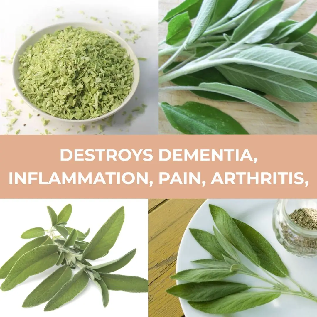 Sage: A Natural Remedy for Brain Health, Inflammation, and Joint Pain