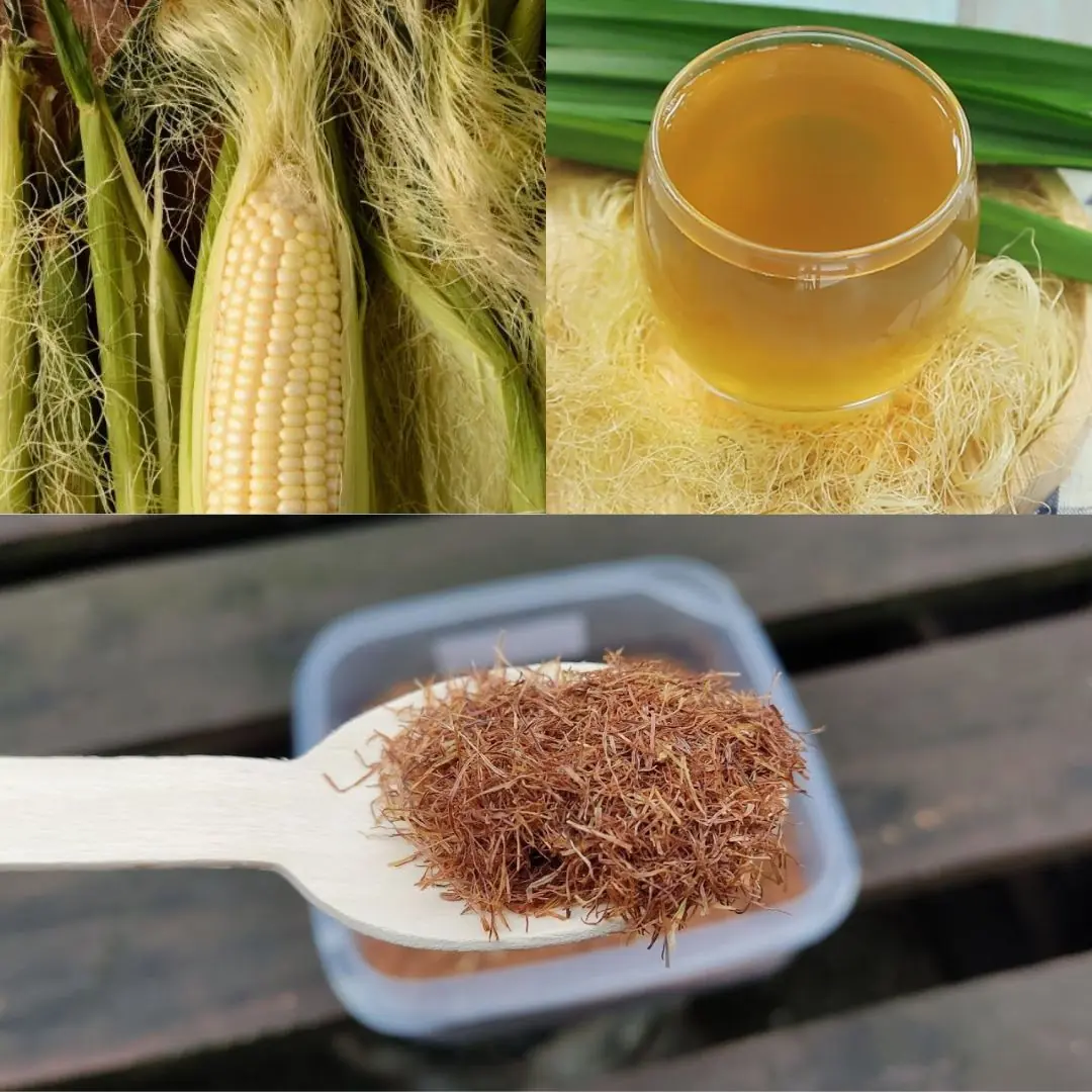20+ Powerful Health Benefits of Corn Silk: How to Use It and Precautions to Know