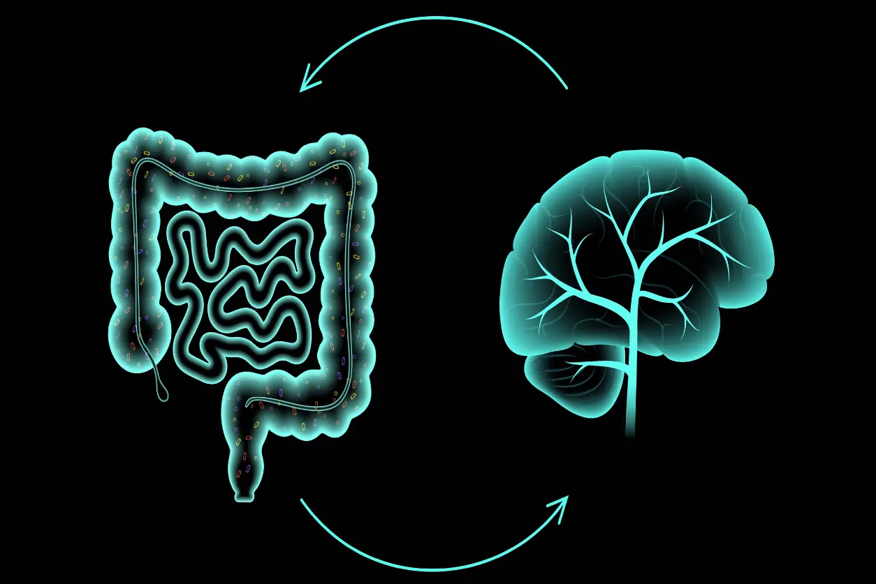 How Your Gut Bacteria Influence Your Mood, Thoughts, and Mental Health
