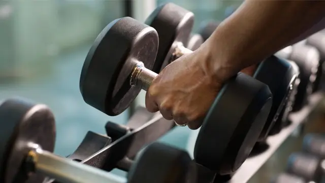 Researchers Reveal How Long It Takes To Grow Muscle When Lifting Weights