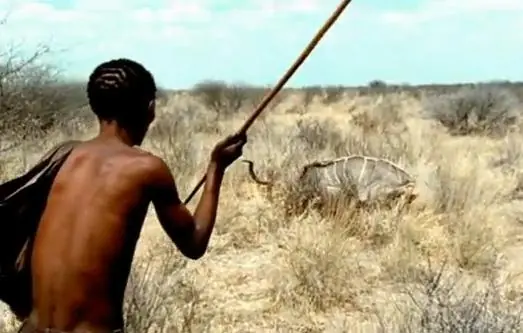 Persistence Hunting: How the San People of the Kalahari Master the Art of Endurance