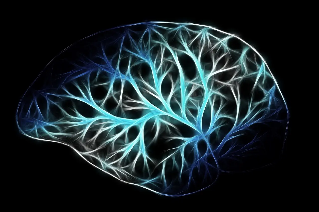 Parasite Found In Brain Of 10-Year-Old Girl After Eating Undercooked Meat Leaves Experts Horrified