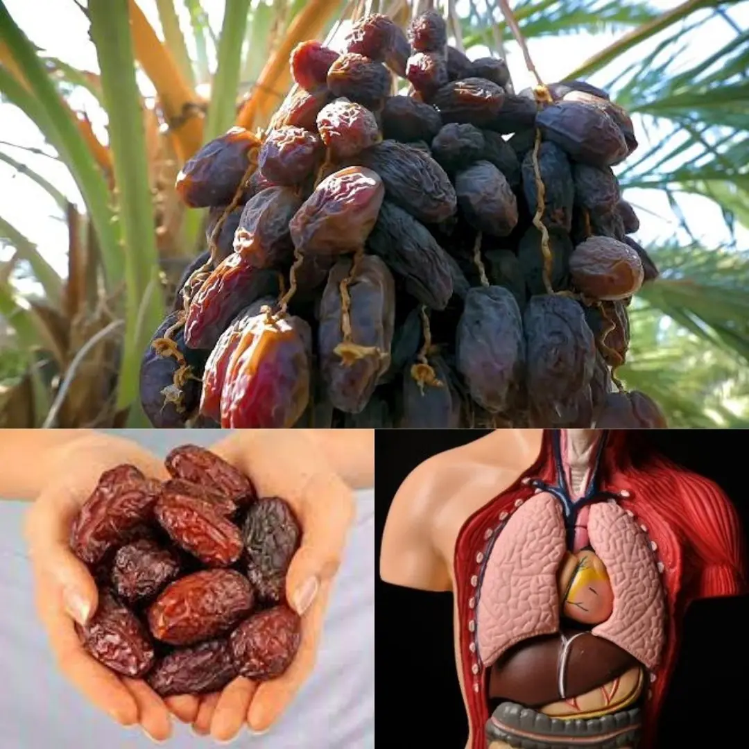 The HEALTHIEST FRUIT on Earth: what happens to your body if you eat just 3 a day