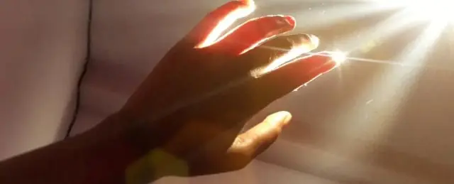 Living Creatures Cast a Faint Aura That Stops at Death, Study Suggests