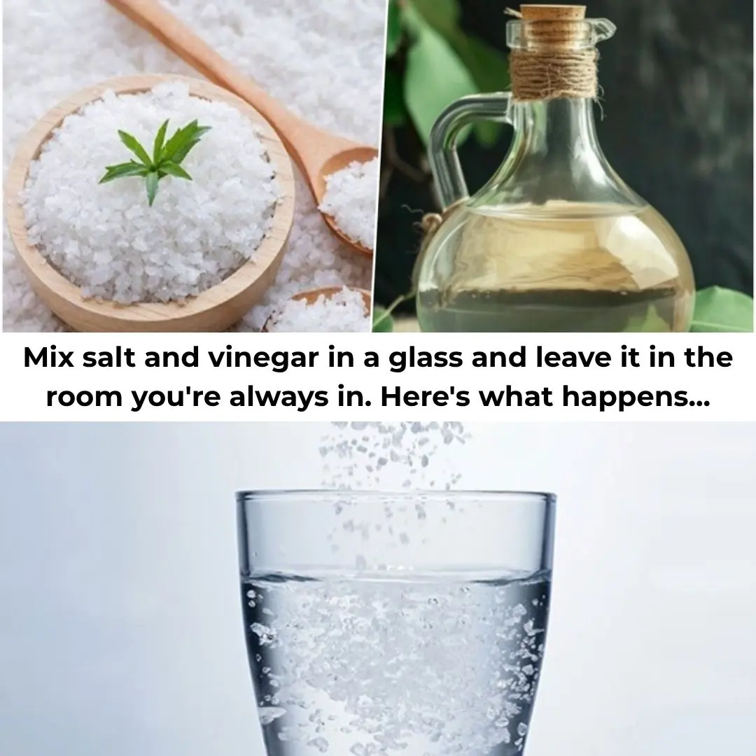 Discover: A Glass of Water, Vinegar, and Salt Can Cleanse Your Home