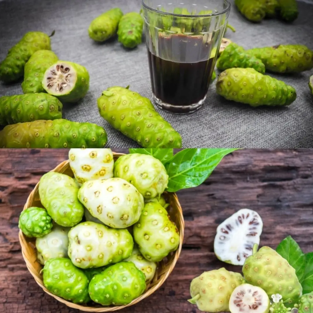 The Elixir of Life: Discover the Healing Power of Noni, Bay Leaf and Turmeric Tea