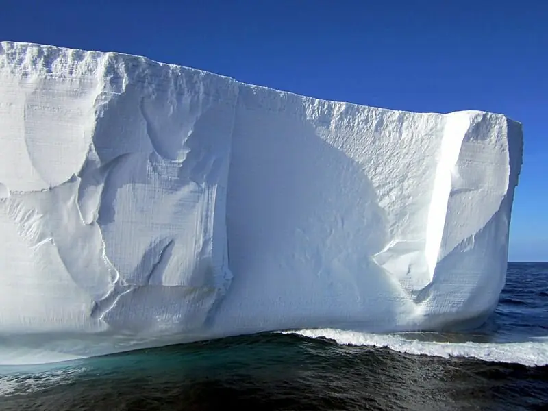 Antarctica Ice Sheet Grows for First Time in 30 Years, Surprising Scientists