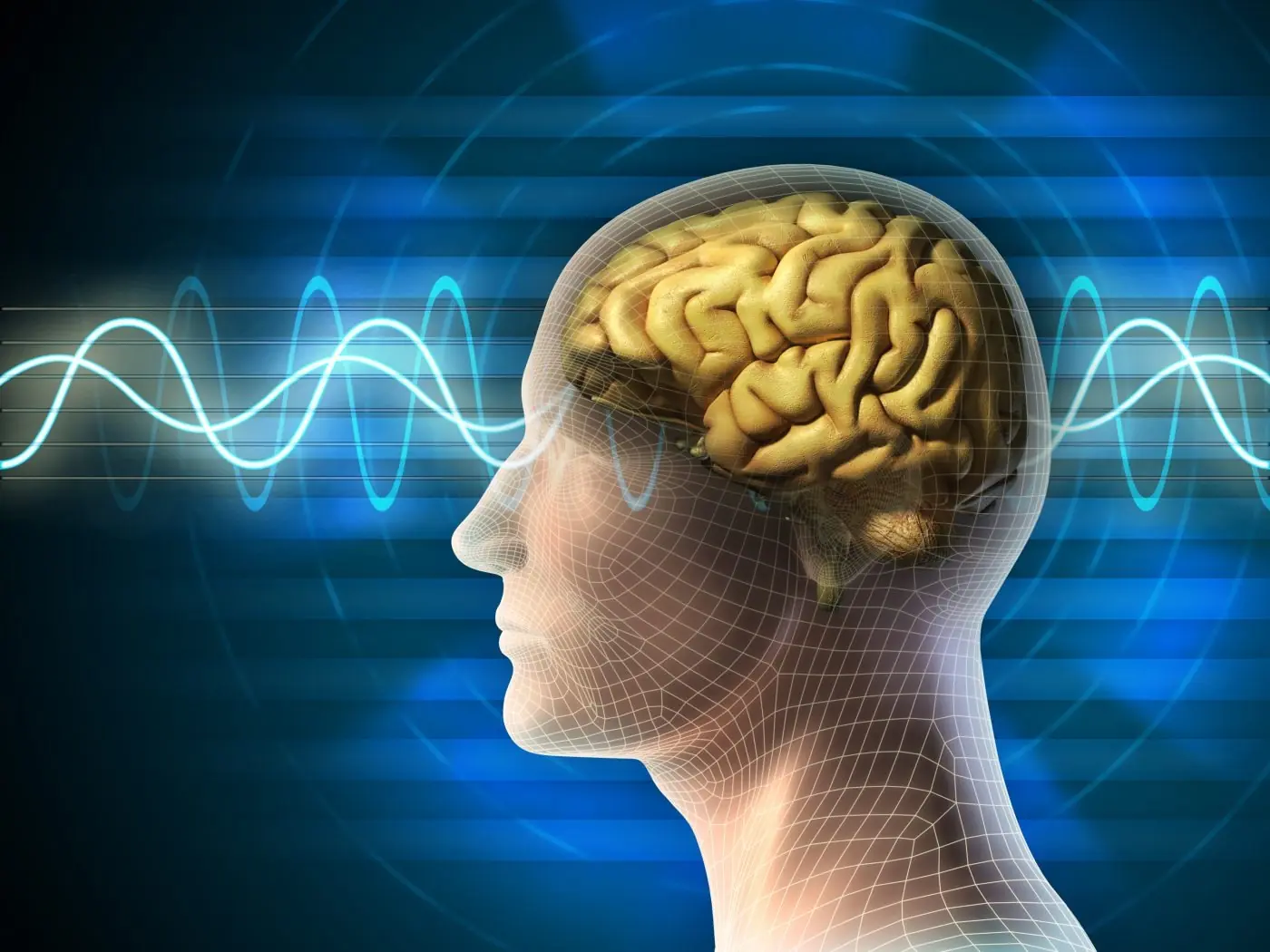 Scientists: 3 Days of Silence Is Enough to Rewire Your Brain