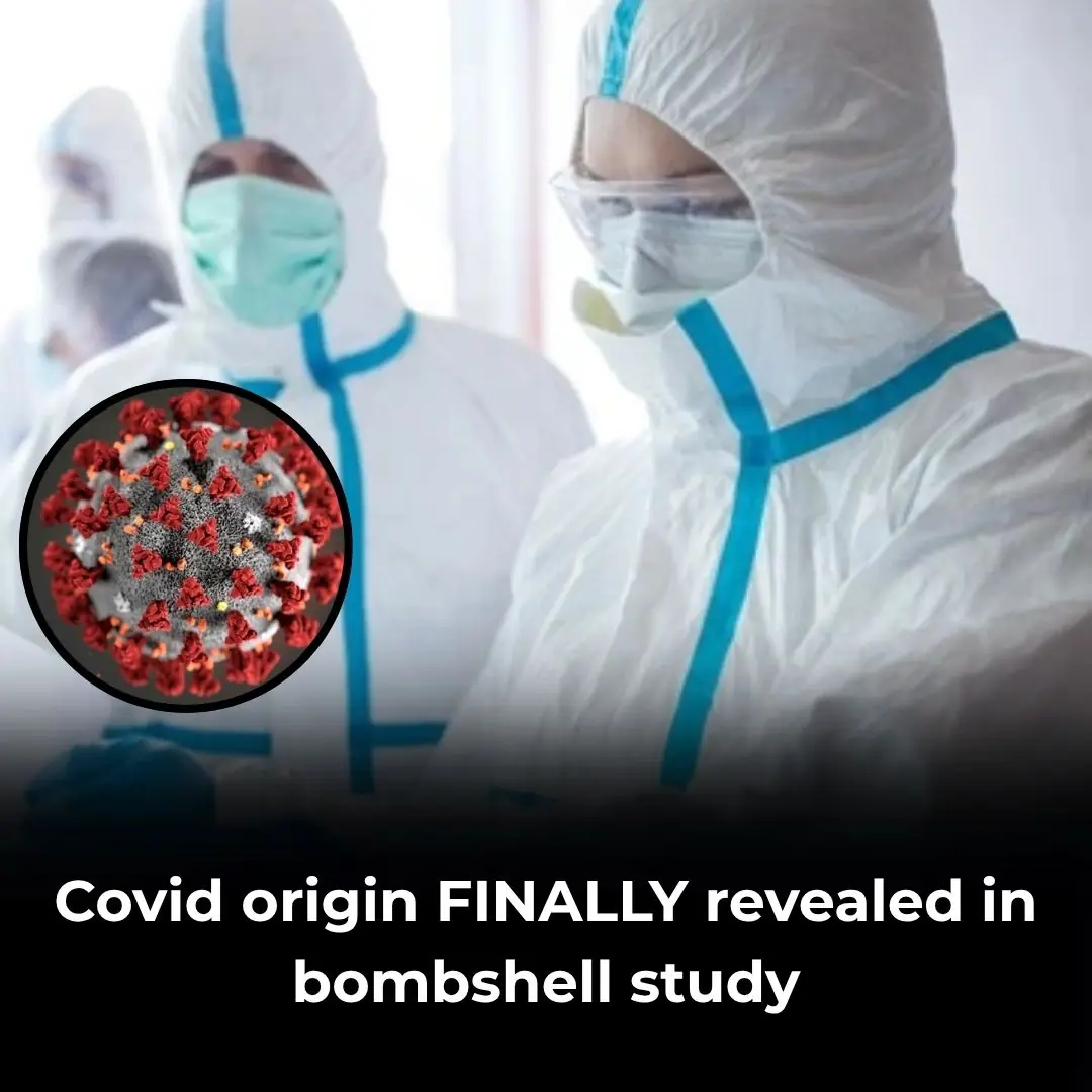 Covid origin FINALLY revealed in bombshell study…and it might not have been China after all