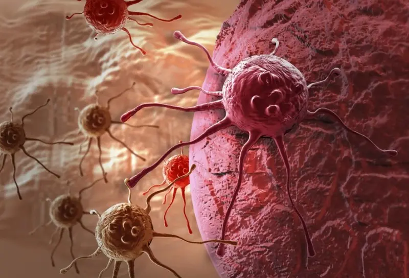 8 Foods That Are Natural Enemies of Tumors – Make Sure to Eat Them Regularly