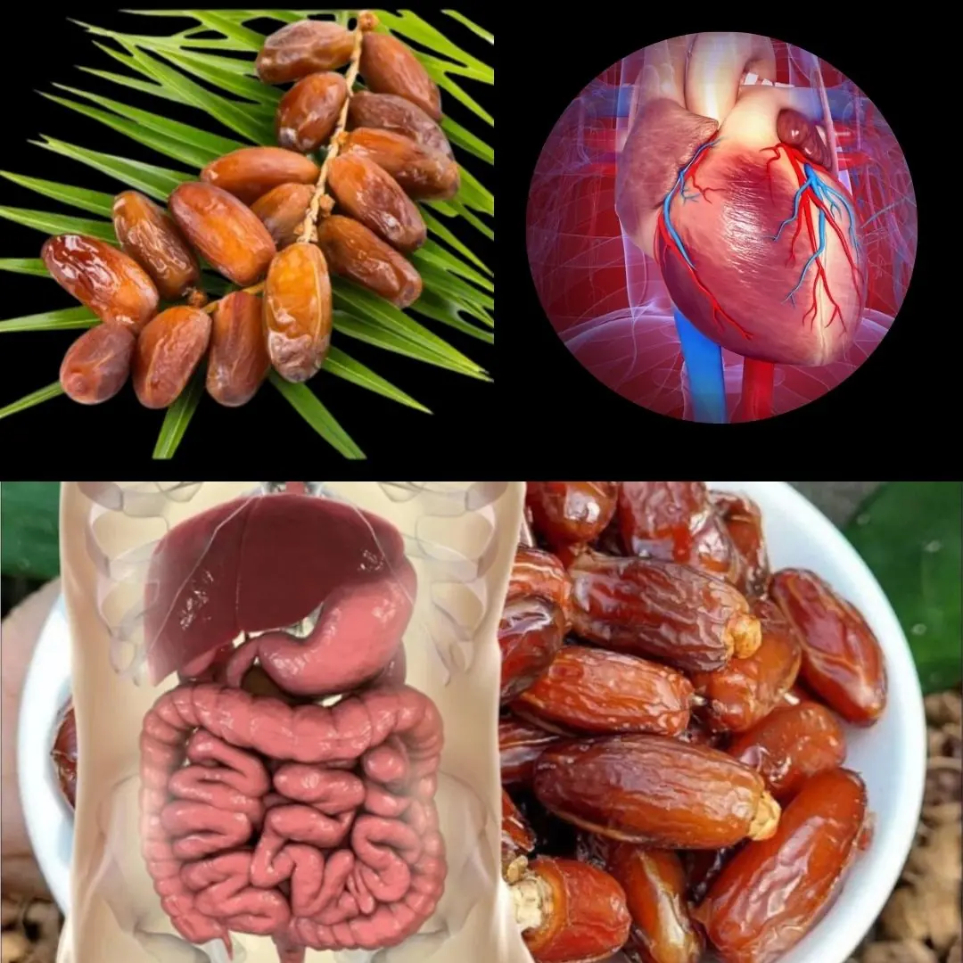 The Incredible Benefits of Dates: A Nutrient-Packed Superfood