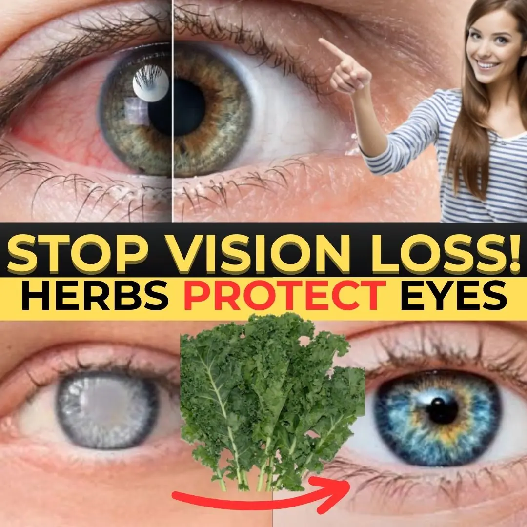 Natural Eyes-Healing Secrets Big Pharma Doesn't Want You to Know | Dr. Barbara O'Neill
