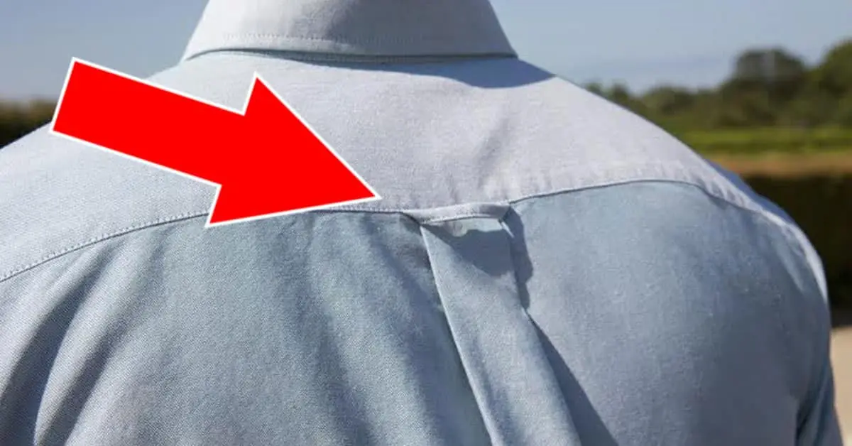 Why Do Button-Down Shirts Have Loops on the Back?