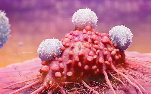 More and More Young People Are Getting Stomach Cancer! If You Wake Up With These 5 Symptoms, Get Checked Immediately
